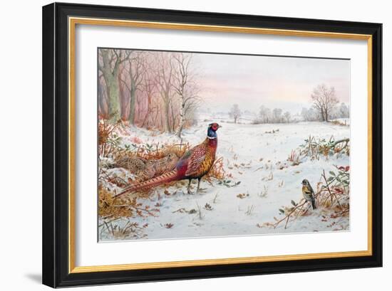 Pheasant and Bramblefinch in the Snow-Carl Donner-Framed Giclee Print