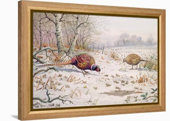 Pheasant and Partridge Eating-Carl Donner-Framed Premier Image Canvas