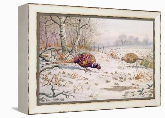 Pheasant and Partridge Eating-Carl Donner-Framed Premier Image Canvas