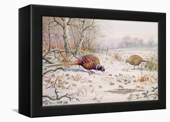 Pheasant and Partridge Eating-Carl Donner-Framed Premier Image Canvas