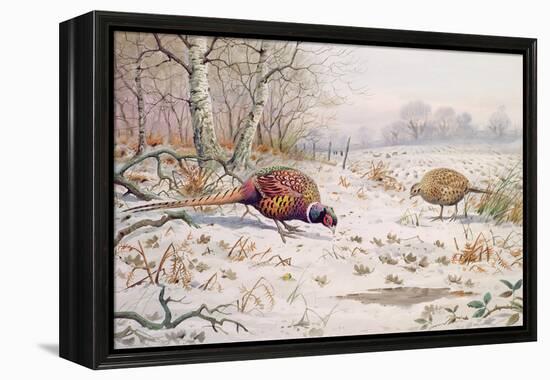 Pheasant and Partridge Eating-Carl Donner-Framed Premier Image Canvas