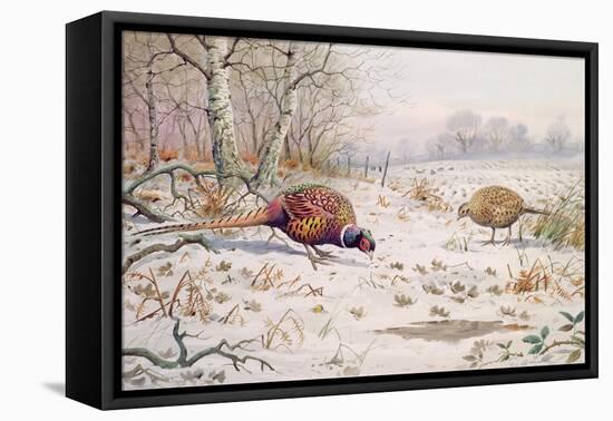 Pheasant and Partridge Eating-Carl Donner-Framed Premier Image Canvas