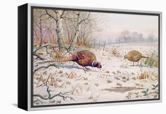 Pheasant and Partridge Eating-Carl Donner-Framed Premier Image Canvas