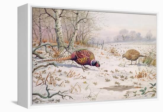 Pheasant and Partridge Eating-Carl Donner-Framed Premier Image Canvas