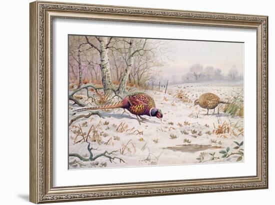 Pheasant and Partridge Eating-Carl Donner-Framed Giclee Print