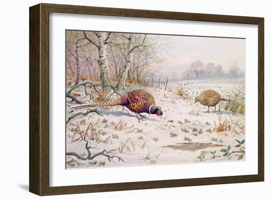 Pheasant and Partridge Eating-Carl Donner-Framed Giclee Print