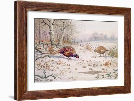 Pheasant and Partridge Eating-Carl Donner-Framed Giclee Print