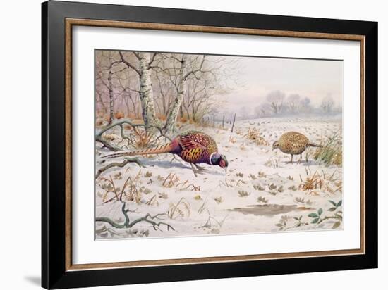 Pheasant and Partridge Eating-Carl Donner-Framed Giclee Print