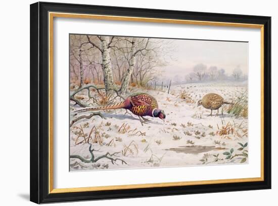 Pheasant and Partridge Eating-Carl Donner-Framed Giclee Print