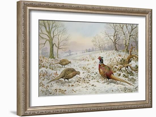 Pheasant and Partridges in a Snowy Landscape-Carl Donner-Framed Giclee Print