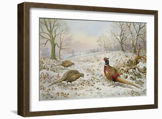 Pheasant and Partridges in a Snowy Landscape-Carl Donner-Framed Giclee Print