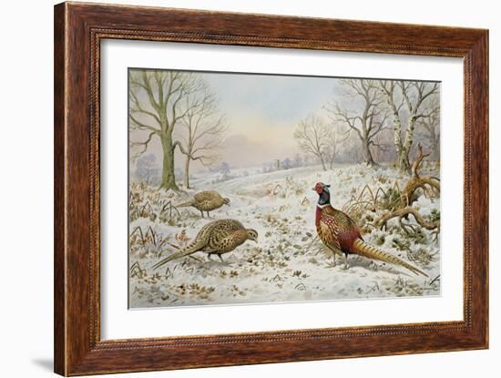 Pheasant and Partridges in a Snowy Landscape-Carl Donner-Framed Giclee Print