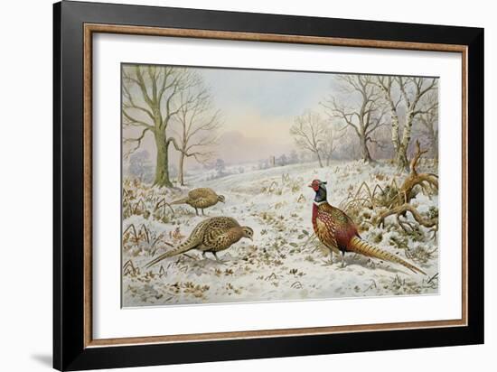 Pheasant and Partridges in a Snowy Landscape-Carl Donner-Framed Giclee Print