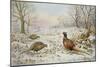 Pheasant and Partridges in a Snowy Landscape-Carl Donner-Mounted Giclee Print