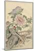 Pheasant and Peony-Bairei-Mounted Art Print