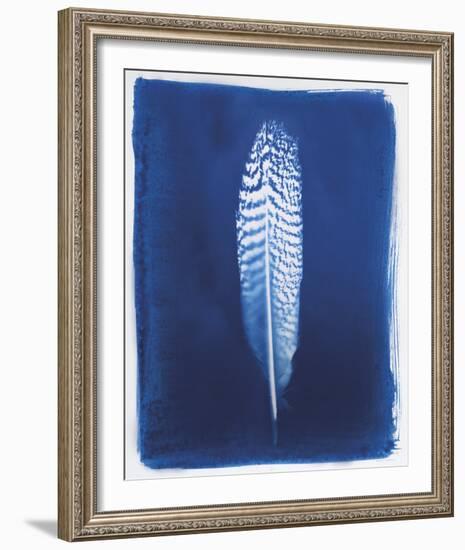 Pheasant Feather-Sarah Cheyne-Framed Giclee Print