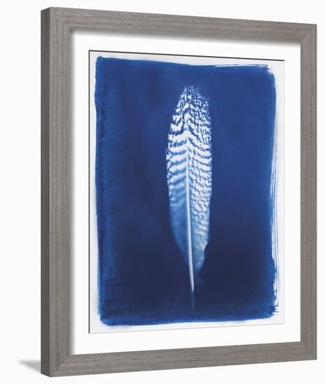 Pheasant Feather-Sarah Cheyne-Framed Giclee Print