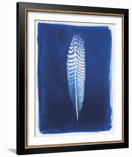 Pheasant Feather-Sarah Cheyne-Framed Giclee Print