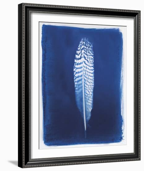 Pheasant Feather-Sarah Cheyne-Framed Giclee Print