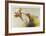 Pheasant Hunt-Allan Mardon-Framed Limited Edition