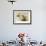 Pheasant Hunt-Allan Mardon-Framed Limited Edition displayed on a wall