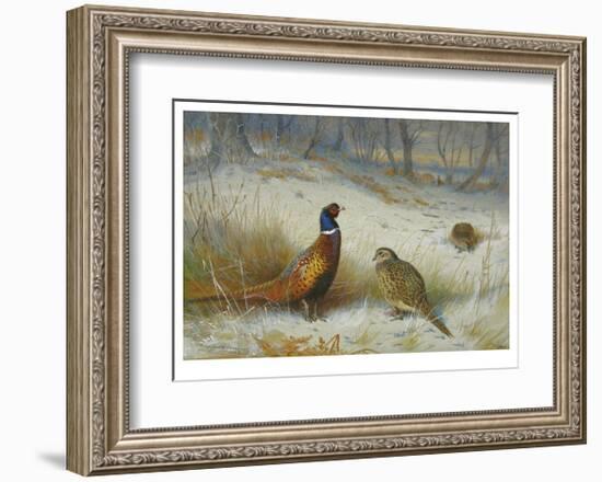 Pheasant in Winter-Archibald Thorburn-Framed Premium Giclee Print