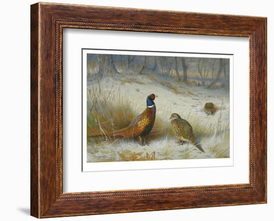 Pheasant in Winter-Archibald Thorburn-Framed Premium Giclee Print