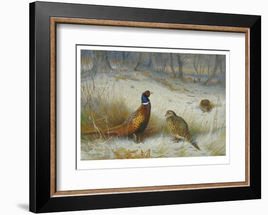 Pheasant in Winter-Archibald Thorburn-Framed Premium Giclee Print