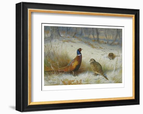 Pheasant in Winter-Archibald Thorburn-Framed Premium Giclee Print