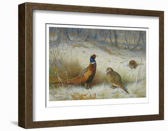 Pheasant in Winter-Archibald Thorburn-Framed Premium Giclee Print