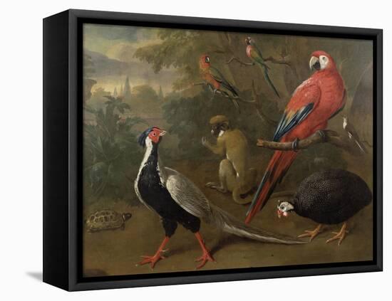 Pheasant, Macaw, Monkey, Parrots and Tortoise-Charles Collins-Framed Premier Image Canvas
