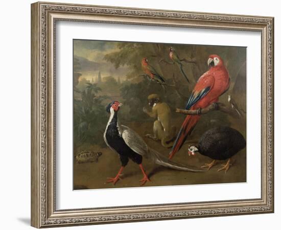 Pheasant, Macaw, Monkey, Parrots and Tortoise-Charles Collins-Framed Giclee Print