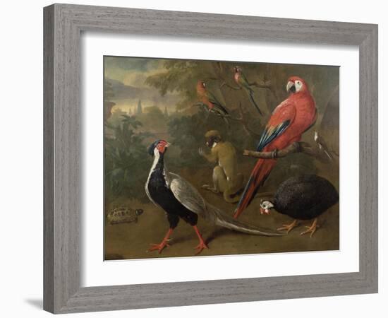 Pheasant, Macaw, Monkey, Parrots and Tortoise-Charles Collins-Framed Giclee Print