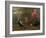 Pheasant, Macaw, Monkey, Parrots and Tortoise-Charles Collins-Framed Giclee Print