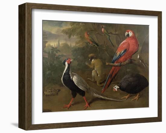 Pheasant, Macaw, Monkey, Parrots and Tortoise-Charles Collins-Framed Giclee Print