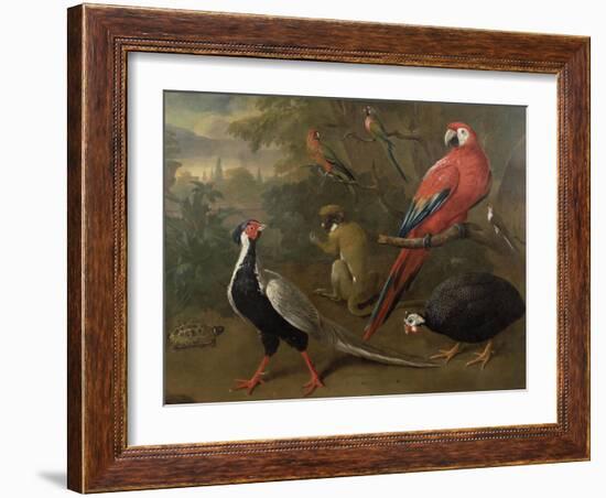 Pheasant, Macaw, Monkey, Parrots and Tortoise-Charles Collins-Framed Giclee Print