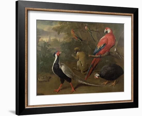 Pheasant, Macaw, Monkey, Parrots and Tortoise-Charles Collins-Framed Giclee Print