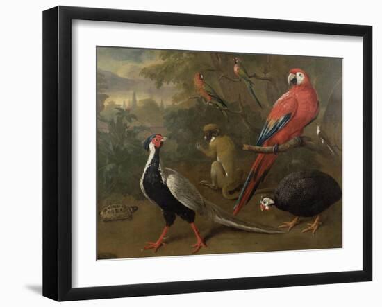 Pheasant, Macaw, Monkey, Parrots and Tortoise-Charles Collins-Framed Giclee Print