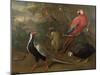 Pheasant, Macaw, Monkey, Parrots and Tortoise-Charles Collins-Mounted Giclee Print