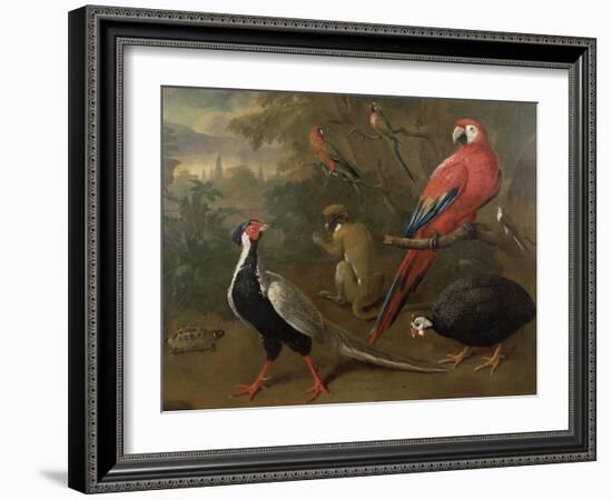 Pheasant, Macaw, Monkey, Parrots and Tortoise-Charles Collins-Framed Giclee Print