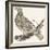 Pheasant (Or Pheasant), 1850 (Engraving)-Louis Simon (1810-1870) Lassalle-Framed Giclee Print