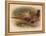 Pheasant (Phasianus colchicus), 1900, (1900)-Charles Whymper-Framed Premier Image Canvas