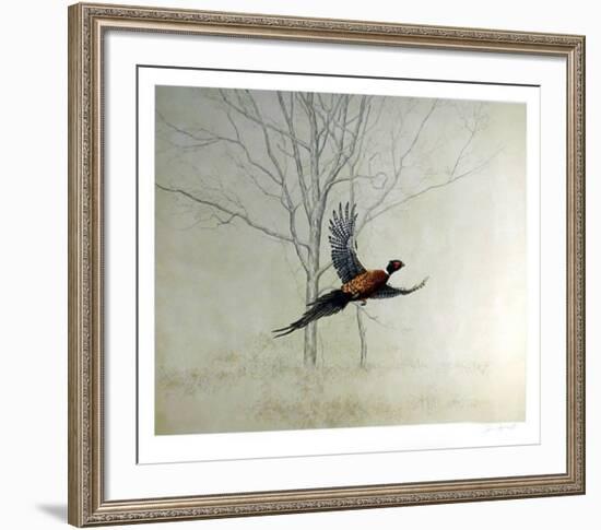 Pheasant-Chris Forrest-Framed Collectable Print