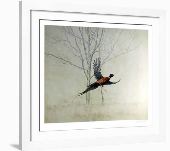 Pheasant-Chris Forrest-Framed Collectable Print