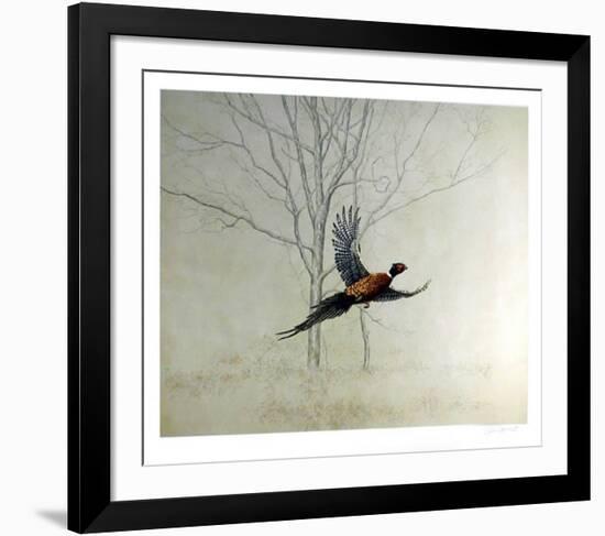 Pheasant-Chris Forrest-Framed Collectable Print