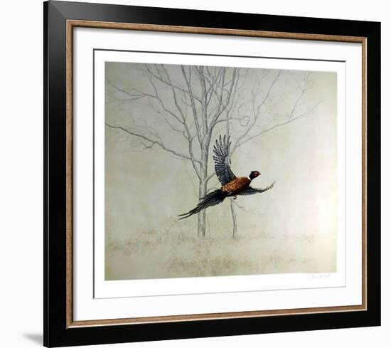 Pheasant-Chris Forrest-Framed Collectable Print