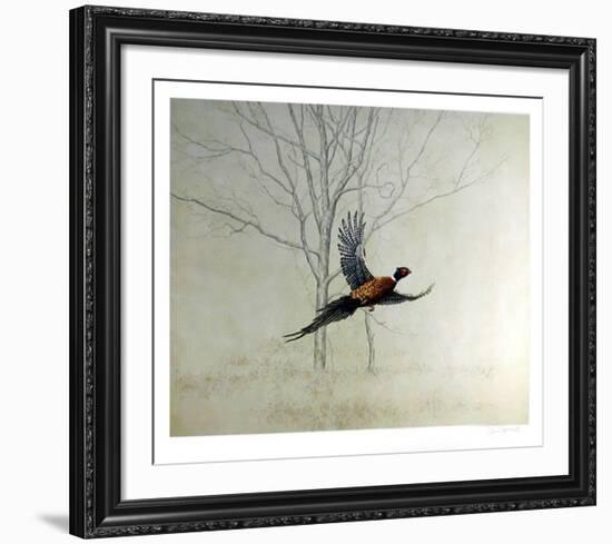 Pheasant-Chris Forrest-Framed Collectable Print