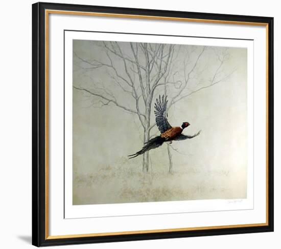 Pheasant-Chris Forrest-Framed Collectable Print