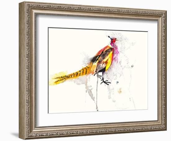 Pheasant-Karin Johannesson-Framed Art Print