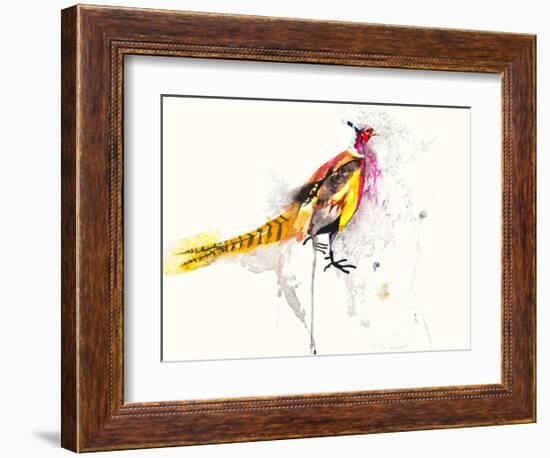 Pheasant-Karin Johannesson-Framed Art Print